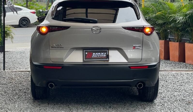 
								MAZDA CX30 GRAND TOURING 2.0 HYBRID AT 4X2 full									