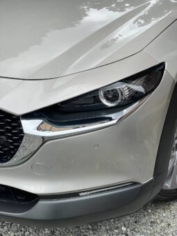 
										MAZDA CX30 GRAND TOURING 2.0 HYBRID AT 4X2 full									