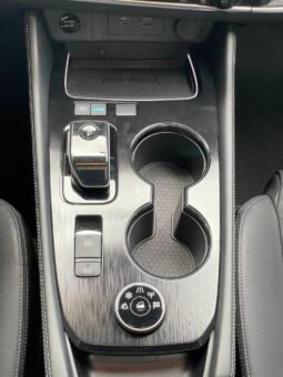 
										NISSAN X-TRAIL E-POWER EXCLUSIVE E-4ORCE full									
