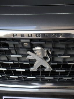 
										PEUGEOT 3008 GT LINE 1.6 AT full									