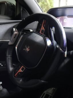 
										PEUGEOT 3008 GT LINE 1.6 AT full									