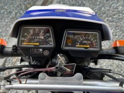
										YAMAHA DT-175 DS full									