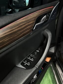 
										BMW X4 XDRIVE 30I 2.0 AT full									