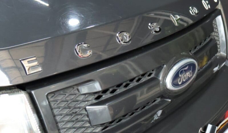 
								FORD ECOSPORT SE AT 2.0 4X2 full									