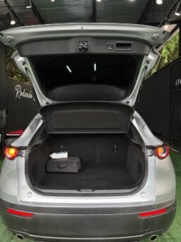 
										MAZDA CX30 TOURING AT 2.0 4X2 full									