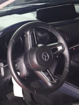 
										MAZDA CX30 GRAND TOURING 2.0 HYBRID AT 4X2 full									