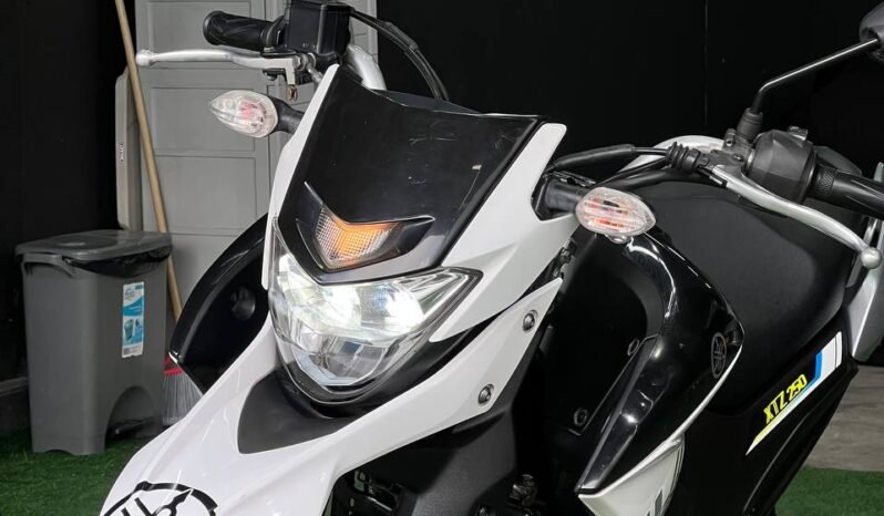 
								YAMAHA XTZ 250 full									
