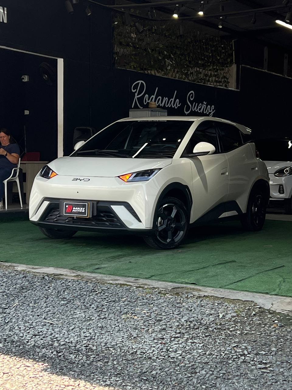 BYD SEAGUL 380/400 GA AT 55 KW