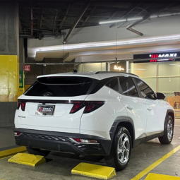 
										HYUNDAI TUCSON GL ADVANCE MT 2.0 GSL full									