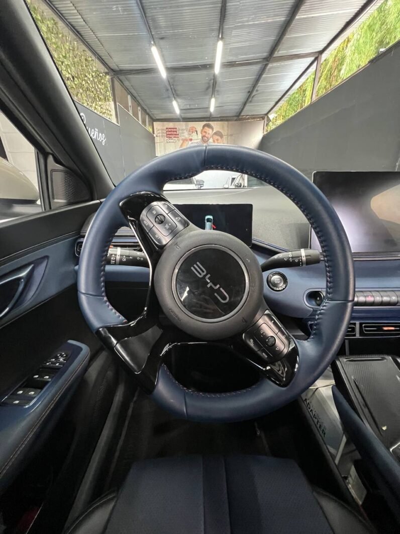 
								BYD SEAGUL 380/400 GA AT 55 KW full									