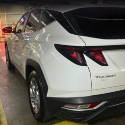 
										HYUNDAI TUCSON GL ADVANCE MT 2.0 GSL full									