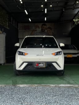 
										BYD SEAGUL 380/400 GA AT 55 KW full									