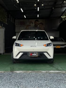 BYD SEAGUL 380/400 GA AT 55 KW