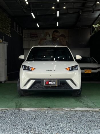 BYD SEAGUL 380/400 GA AT 55 KW