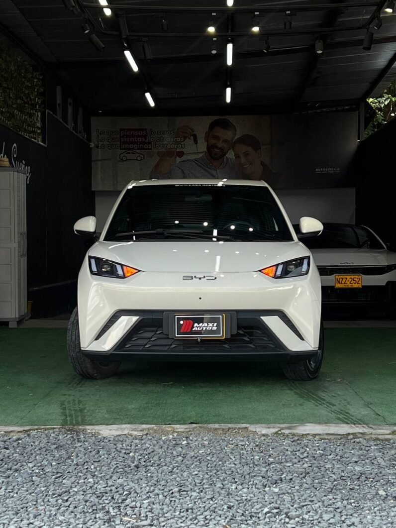 
								BYD SEAGUL 380/400 GA AT 55 KW full									