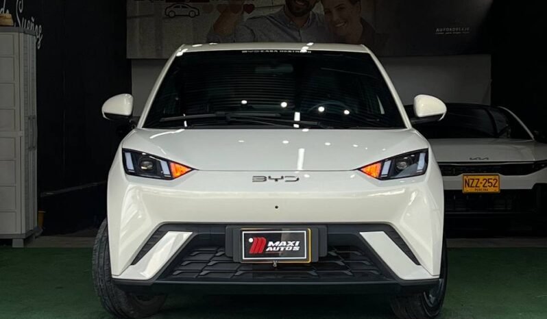 
								BYD SEAGUL 380/400 GA AT 55 KW full									