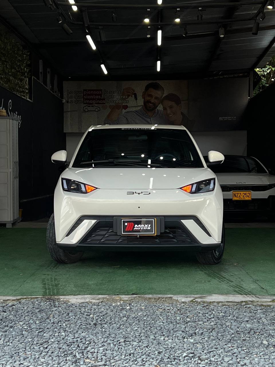 BYD SEAGUL 380/400 GA AT 55 KW