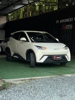 
										BYD SEAGUL 380/400 GA AT 55 KW full									