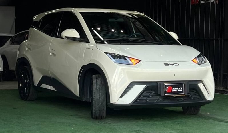 
								BYD SEAGUL 380/400 GA AT 55 KW full									