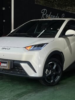 
										BYD SEAGUL 380/400 GA AT 55 KW full									