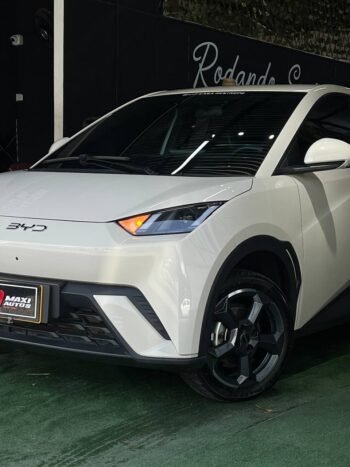 BYD SEAGUL 380/400 GA AT 55 KW