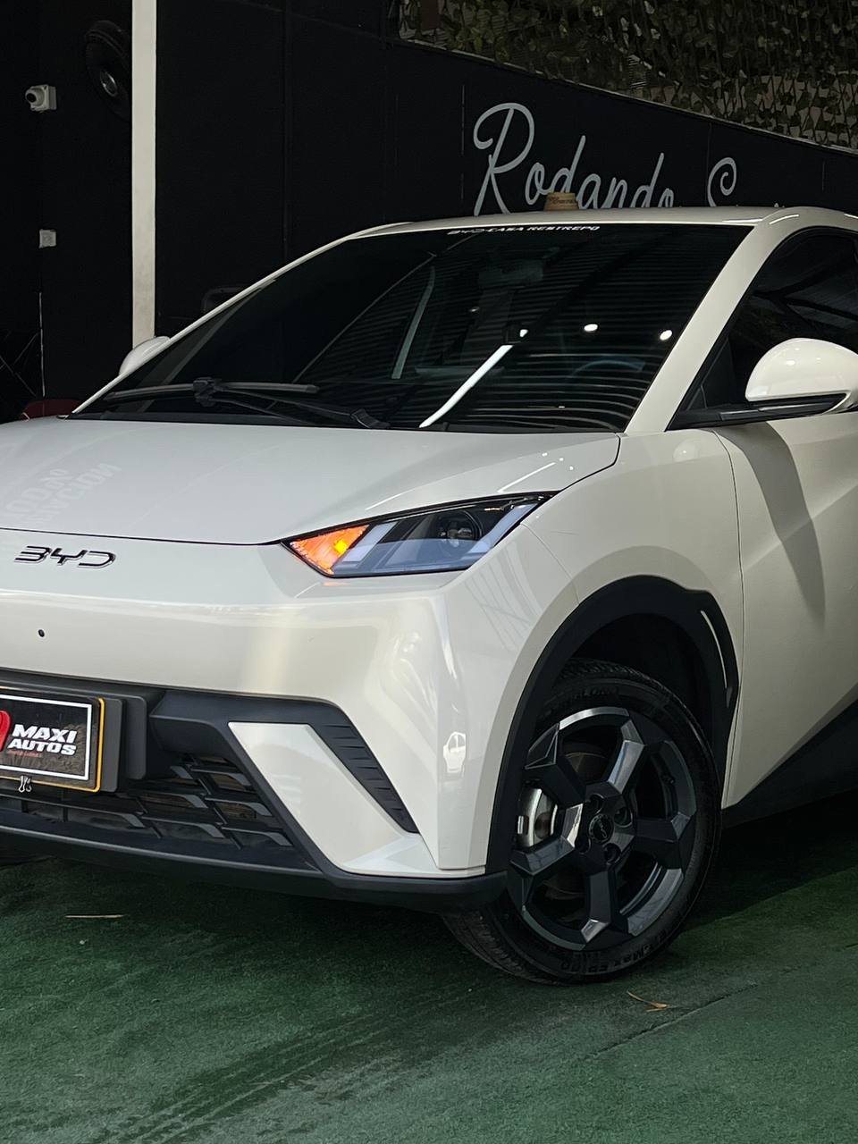 BYD SEAGUL 380/400 GA AT 55 KW