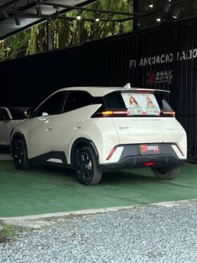 BYD SEAGUL 380/400 GA AT 55 KW