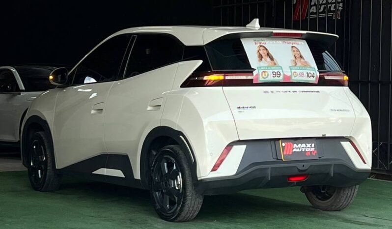 
								BYD SEAGUL 380/400 GA AT 55 KW full									