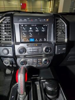 
										FORD F-150 3.5 AUT 4X4 full									