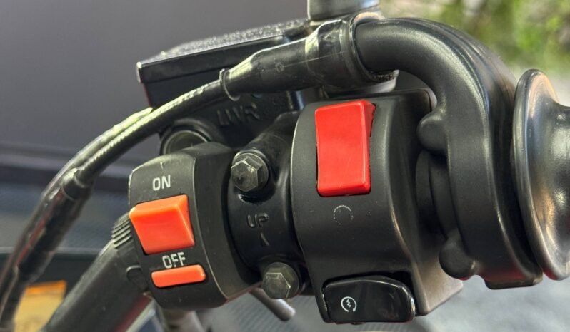 
								YAMAHA FZ-N 250 full									