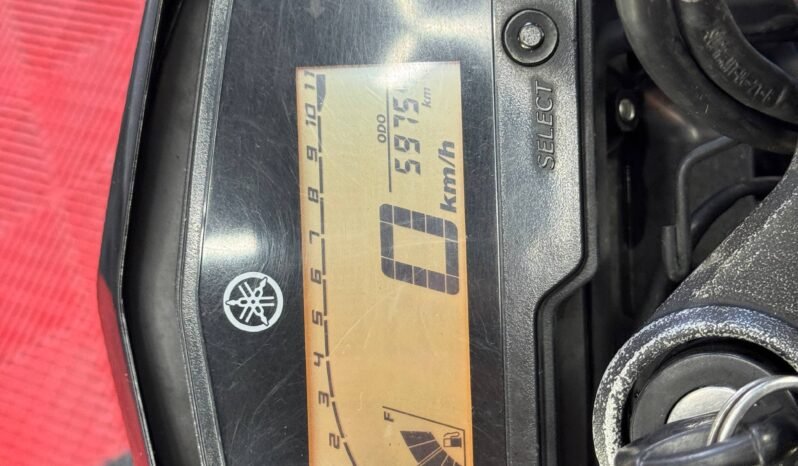 
								YAMAHA FZ-N 250 full									