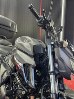 
										YAMAHA FZ-N 250 full									