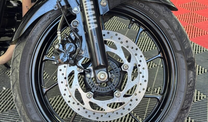 
								YAMAHA FZ-N 250 full									