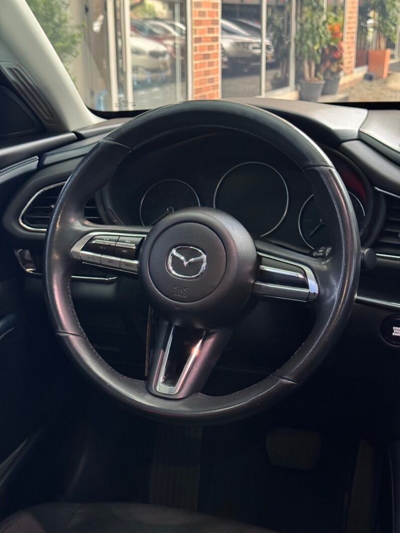 
								MAZDA CX30 TOURING AT 2.0 4X2 full									