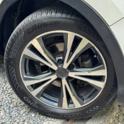 
										NISSAN QASHQAI ADVANCE AUTOMÁTICA 2.0 4*2 GASOLINA full									