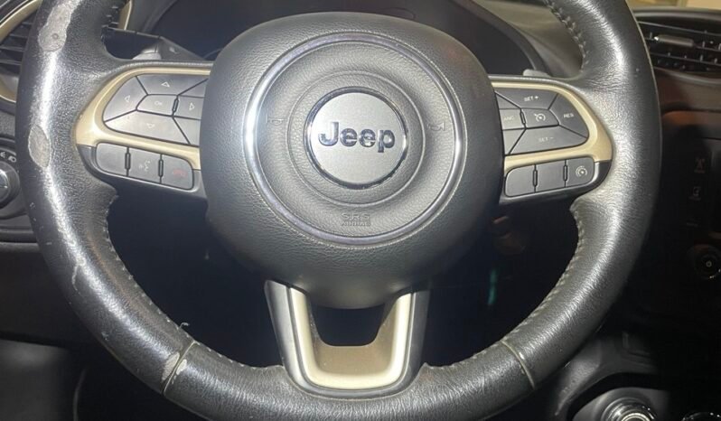 
								JEEP RENEGADE full									