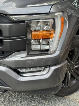 
										FORD F-150 3.5 AUT 4X4 full									