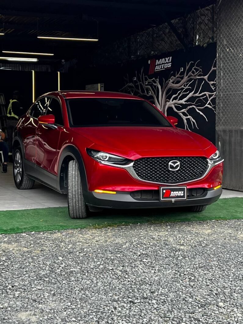 
								MAZDA CX-30 TOURING HIBRIDA ED. ESPECIAL 2.0L AT full									
