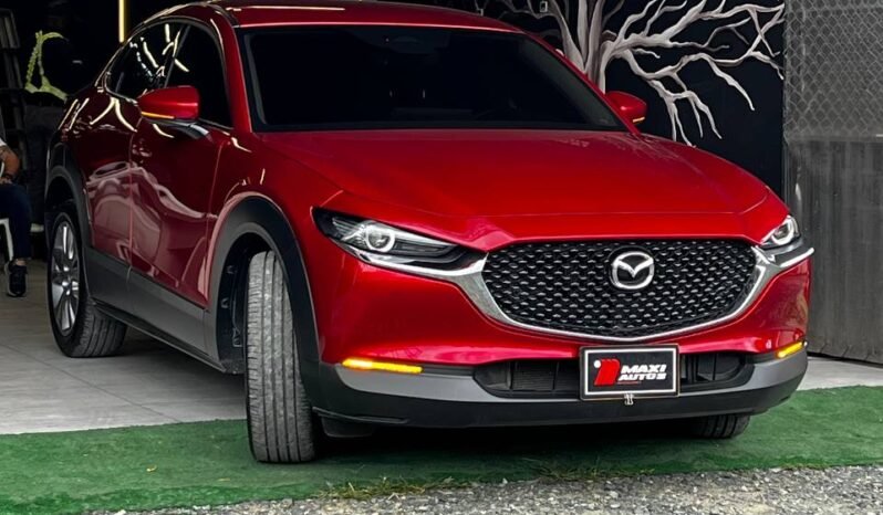
								MAZDA CX-30 TOURING HIBRIDA ED. ESPECIAL 2.0L AT full									