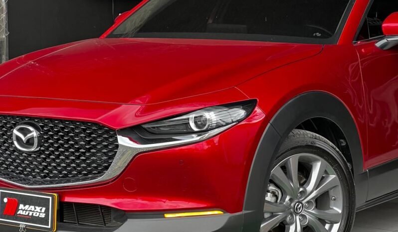 
								MAZDA CX-30 TOURING HIBRIDA ED. ESPECIAL 2.0L AT full									