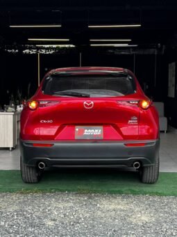 
										MAZDA CX-30 TOURING HIBRIDA ED. ESPECIAL 2.0L AT full									