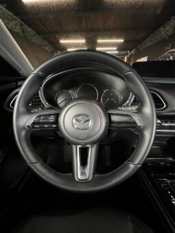 
										MAZDA CX-30 TOURING HIBRIDA ED. ESPECIAL 2.0L AT full									