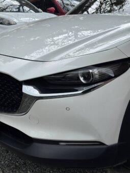 
										MAZDA CX30 TOURING AT 2.0 4X2 full									