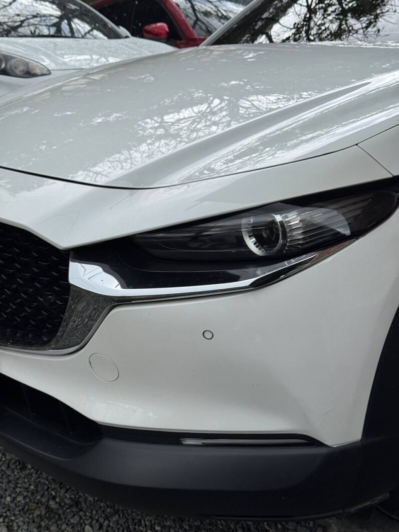 
								MAZDA CX30 TOURING AT 2.0 4X2 full									