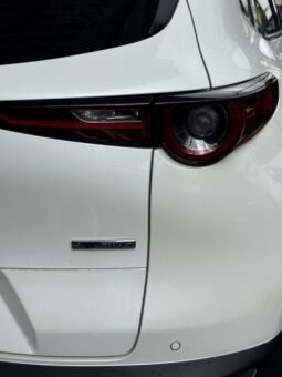 
										MAZDA CX30 TOURING AT 2.0 4X2 full									