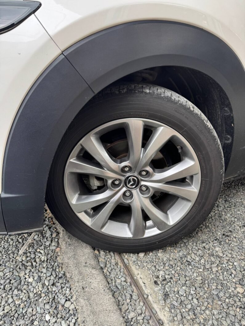 
								MAZDA CX30 TOURING AT 2.0 4X2 full									