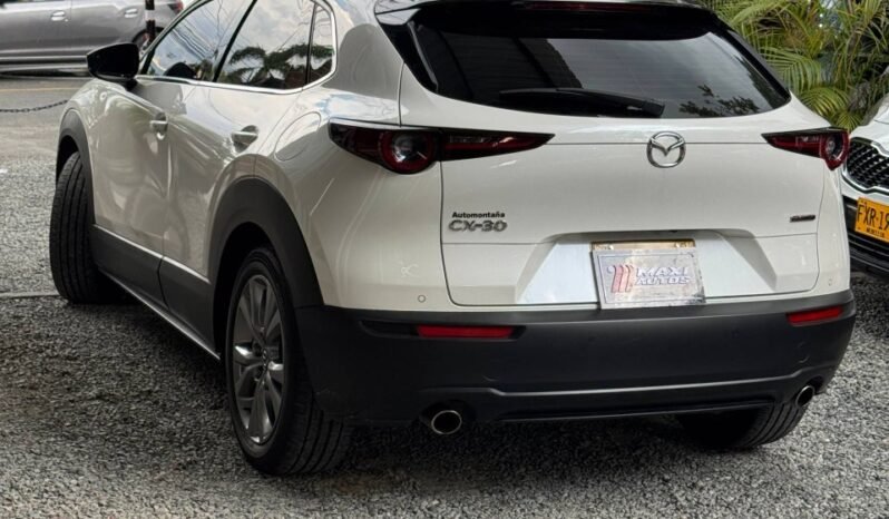 
								MAZDA CX30 TOURING AT 2.0 4X2 full									