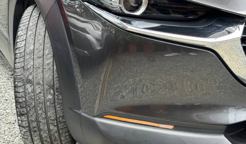 
								MAZDA CX30 TOURING AT 2.0 4X2 full									