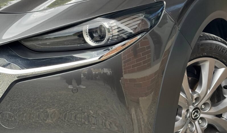 
								MAZDA CX30 TOURING AT 2.0 4X2 full									