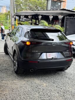 
										MAZDA CX30 TOURING AT 2.0 4X2 full									